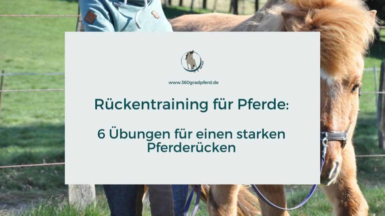 Rückentraining für Pferde Übungsideen