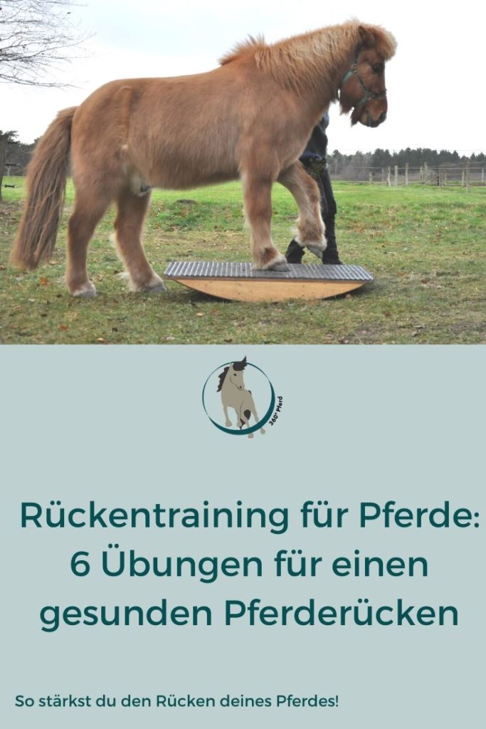 Rückentraining-Pferd sechs Übungen für einen starken Rücken