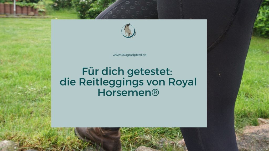 Im Test die Reitleggings von Royal Horsemen