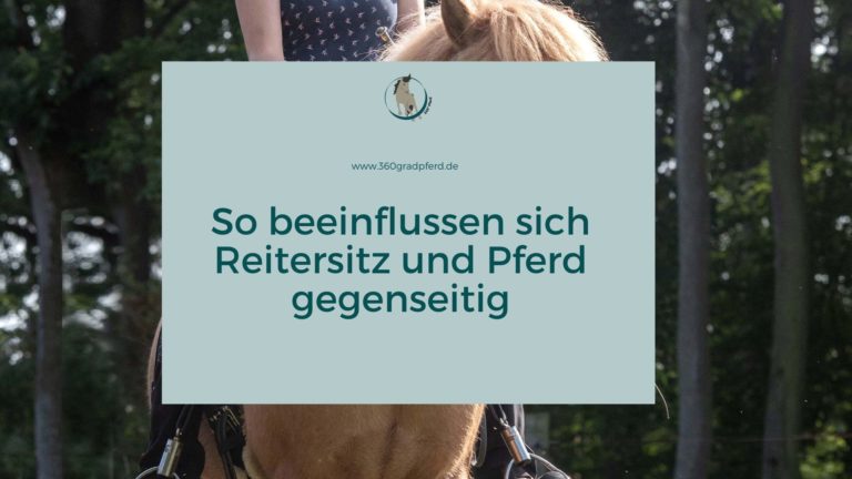 So beeinflussen sich Pferd und Reiter gegenseitig