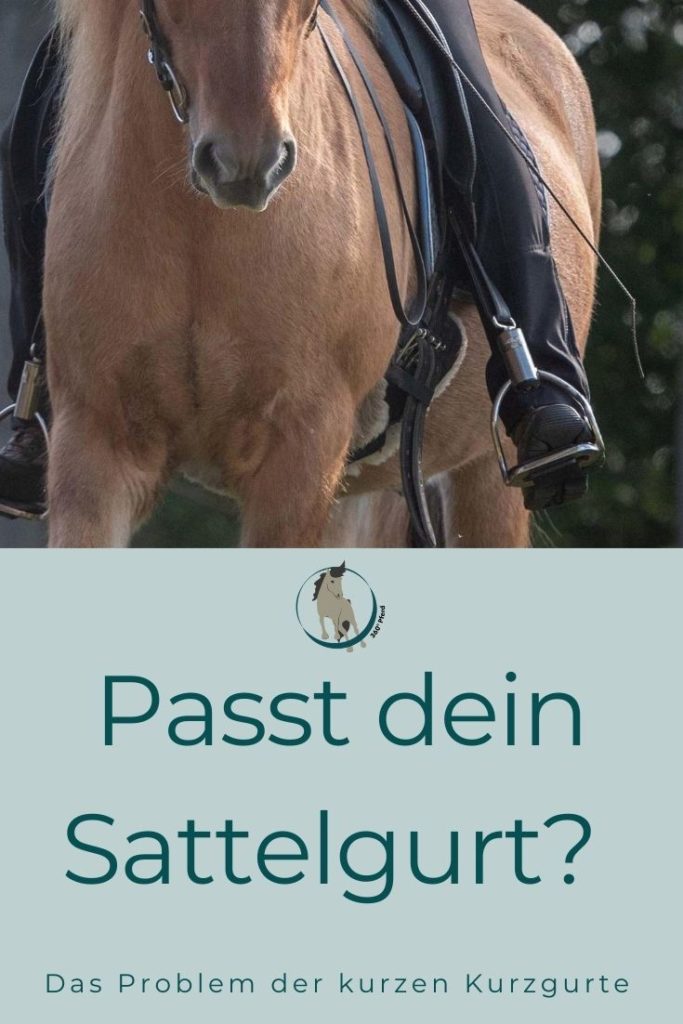 Passt dein Sattelgurt