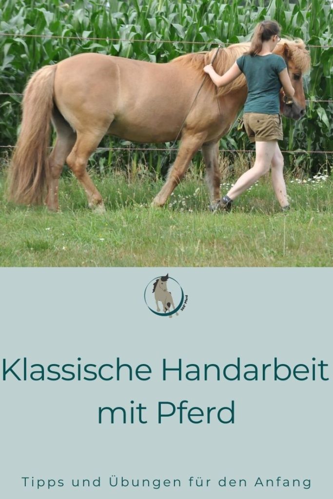 Handarbeit und Kurzzügelarbeit mit Pferd