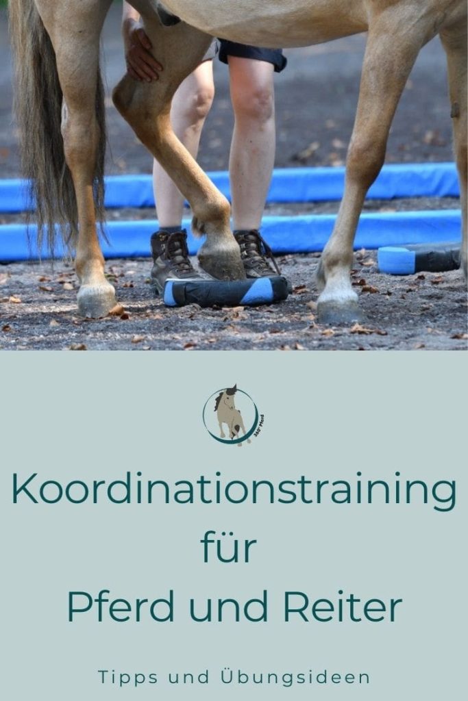 Koordinationstraining für Pferd und Reiter zur Verbesserung der eigenen Bewegungsqualität