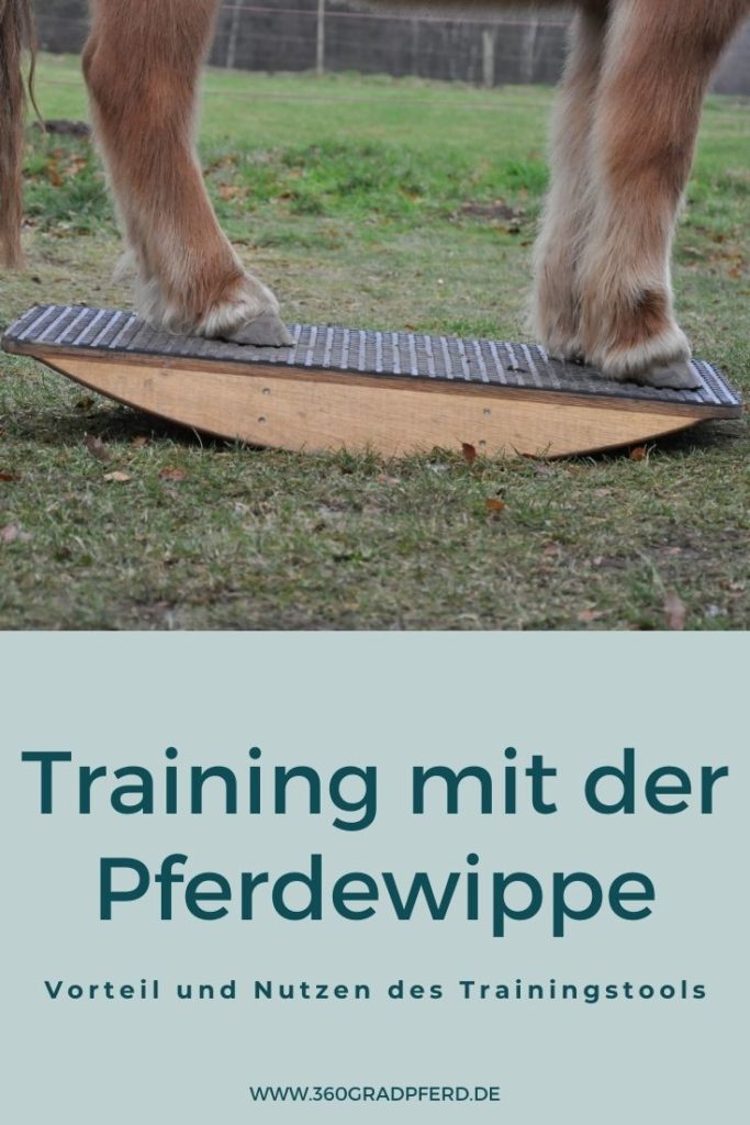 Vorteil und Nutzen des Trainings mit Pferdewippe