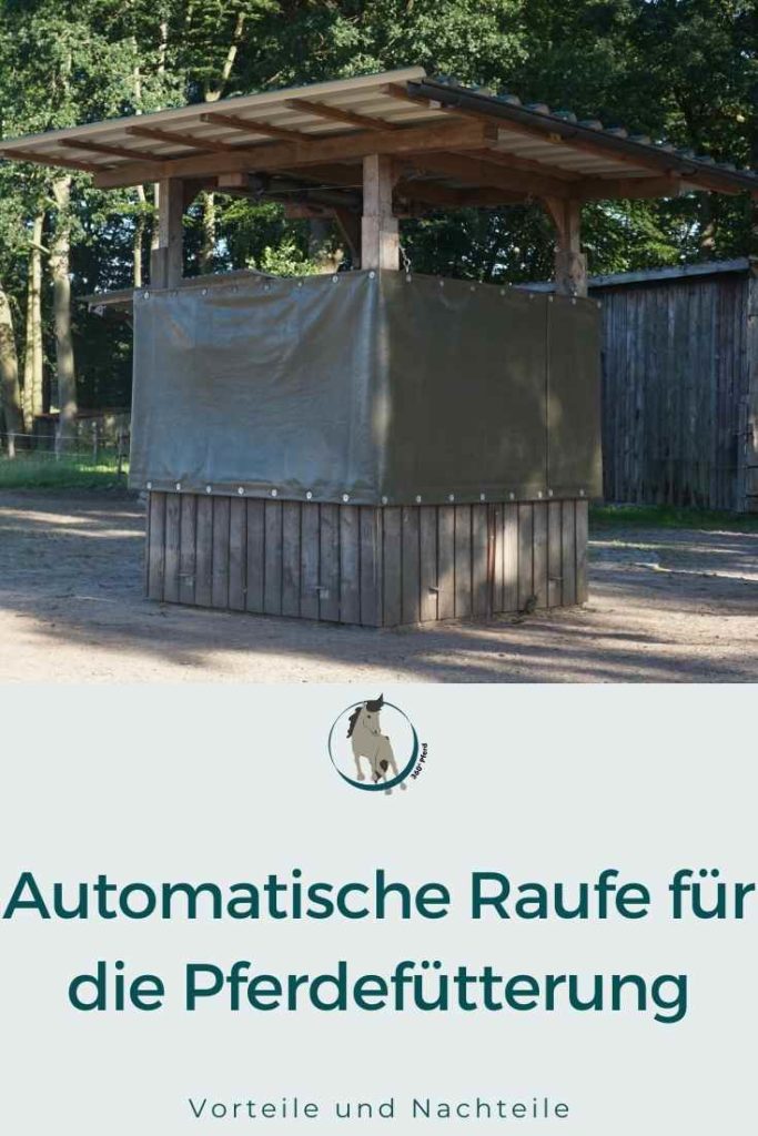 Automatische Heuraufe für die Pferdefütterung Vorteile und Nachteile