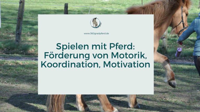 Spielen mit Pferd Motorik Koordination Motivation