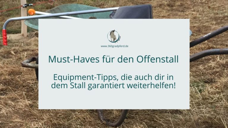 Must Have Zubehör für den Offenstall