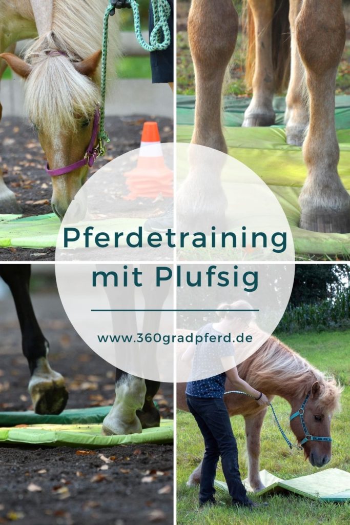 Pferdetraining-mit-Plufsig-Turnmatte