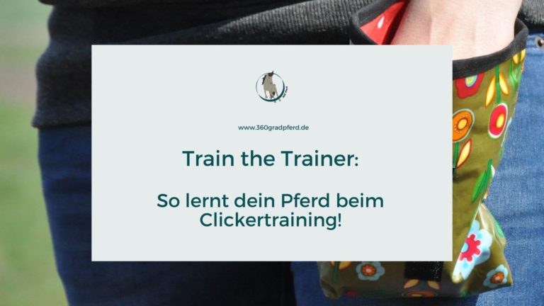 Train the Trainer Clickertraining Pferd lernen
