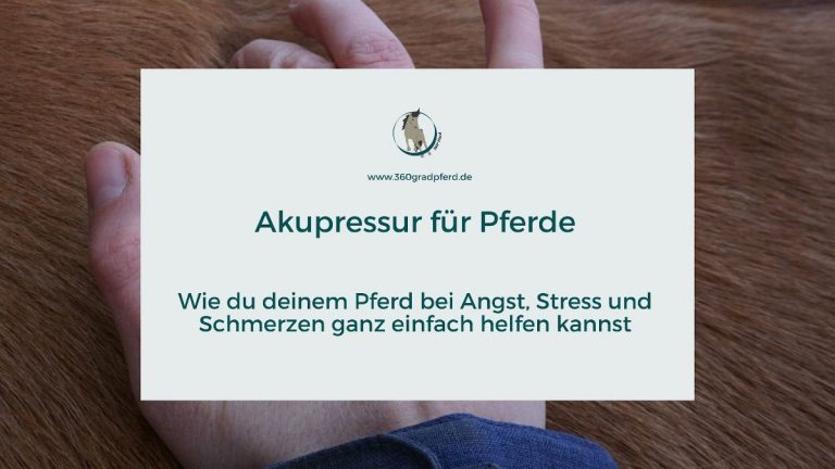 Akupressur für Pferde