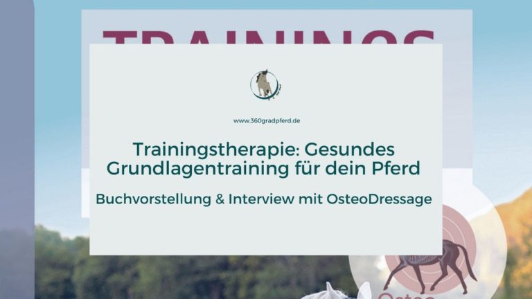 Trainingstherapie als gesundes Grundlagentraining für dein Pferd